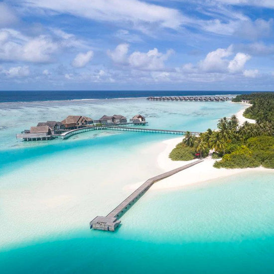 <p>Niyama, </p><p>Private Islands, Maldives</p>